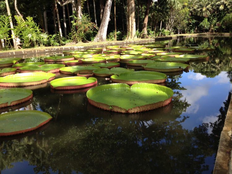 IleMaurice-3