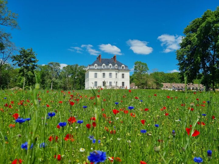 Le Domaine du Roncemay, superbe hôtel en Bourgogne avec spa