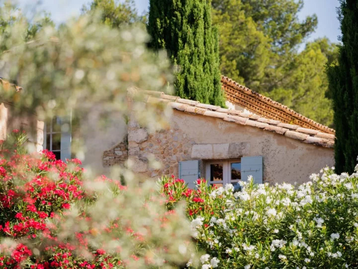 Les meilleurs hôtels des Alpilles : 5 établissements de luxe où séjourner entre charme, art de vivre et nature provençale