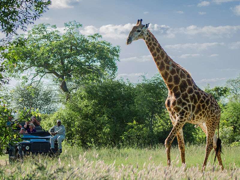 Visiter l'Afrique du Sud lors d'un itinéraire avec © Secrets de Voyages