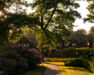 Week-end de dernière minute en Sologne © Auberge des Templiers