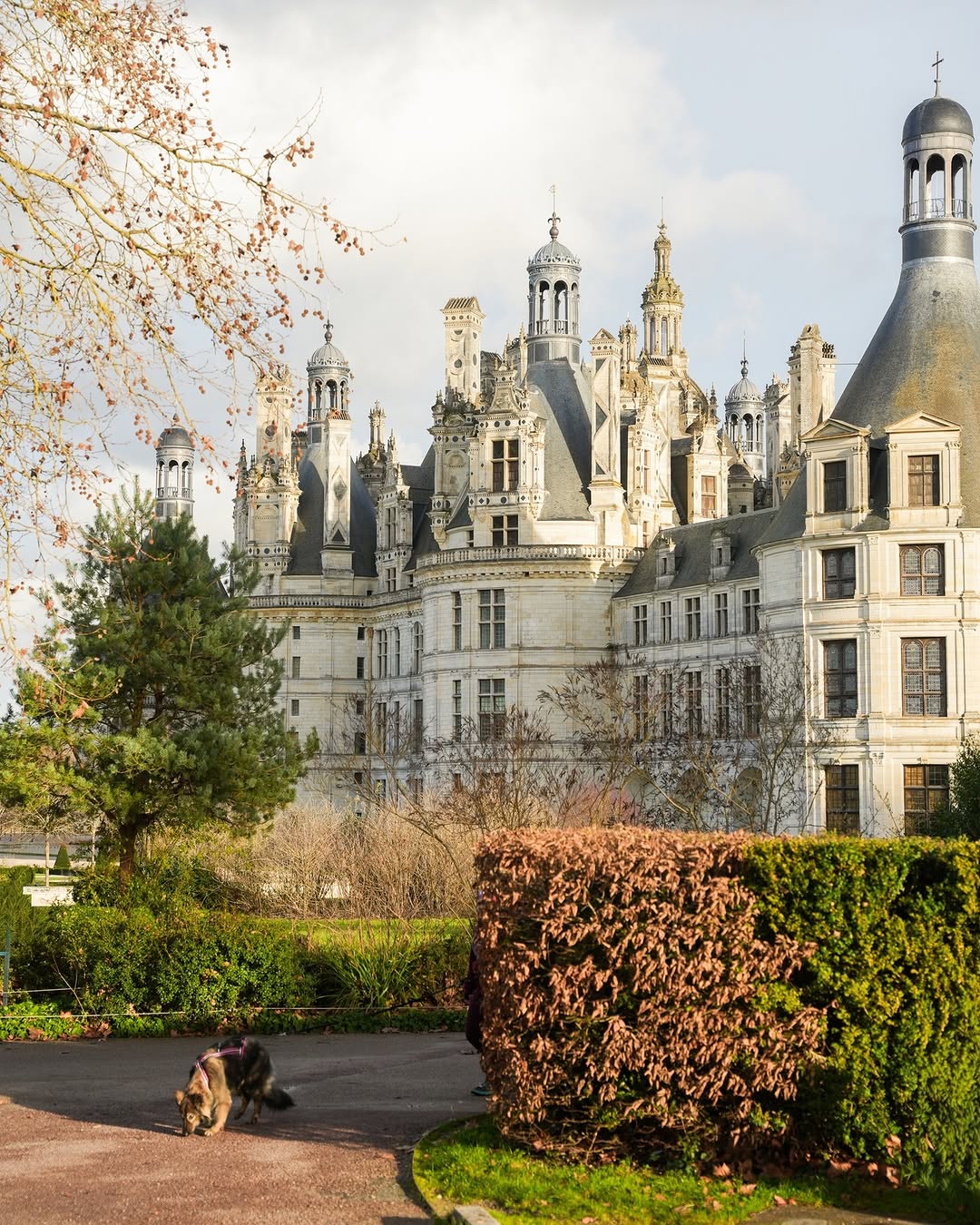 L'hôtel à la campagne © relaisdechambord