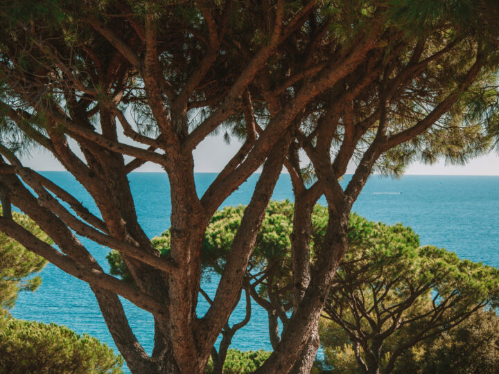 Dix hôtels pour un séjour bien-être en France et en Europe