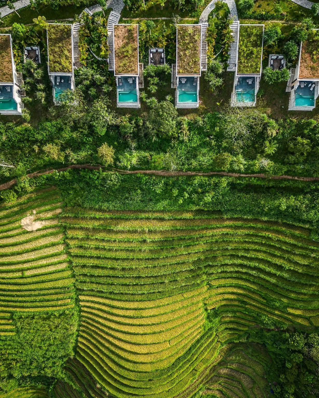 Topas Ecolodge Vietnam © topasecolodge