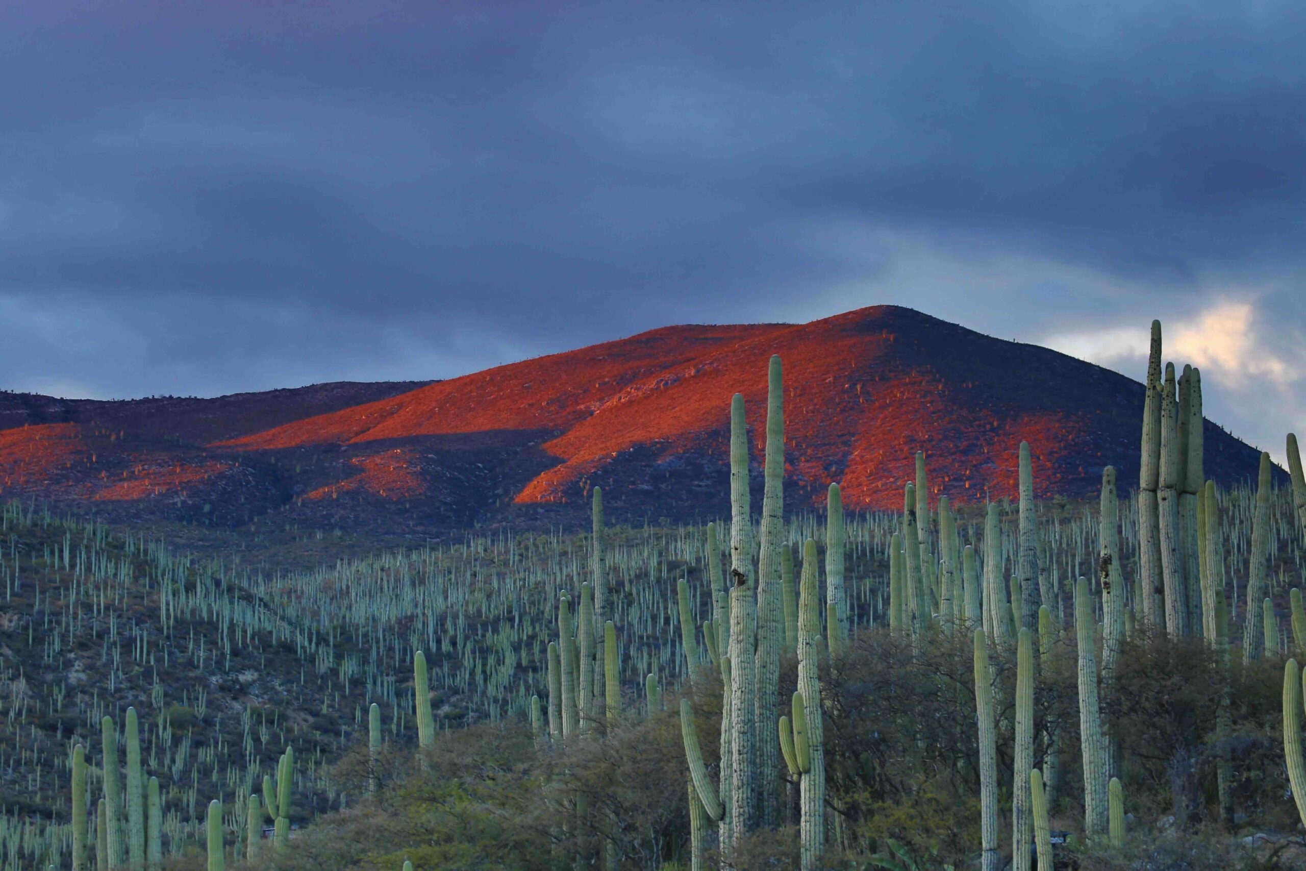 Visiter le Mexique - Les hôtels les plus luxueux du Mexique © Andres Sanz
