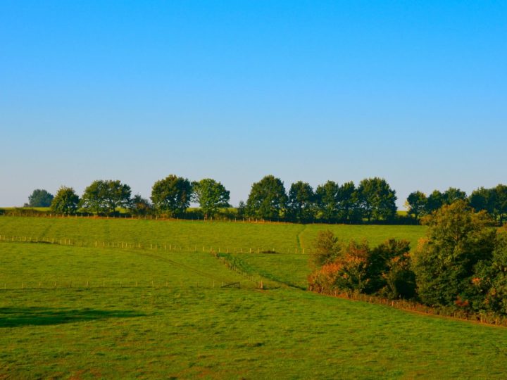 Testé par Travellers Society : Les Cadoles, Iguerande, France