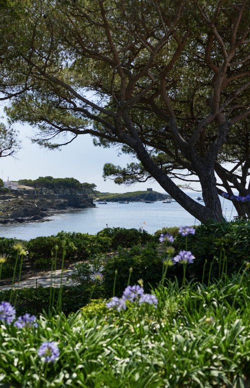 Cadaqués Oliveres, villa de luxe à louer en Espagne © Homanie