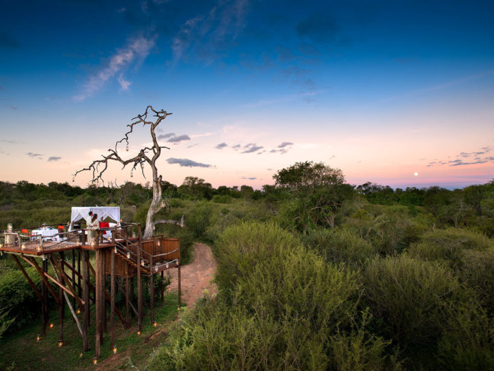 Lion Sands Game Reserve, Afrique du Sud