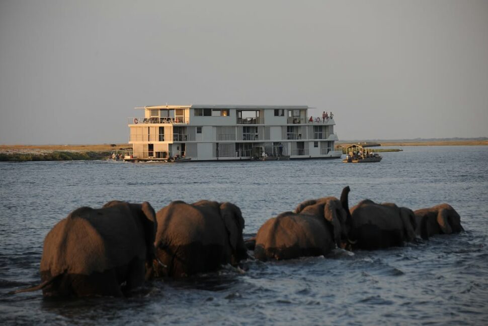Croisière avec © Zambezi Queen