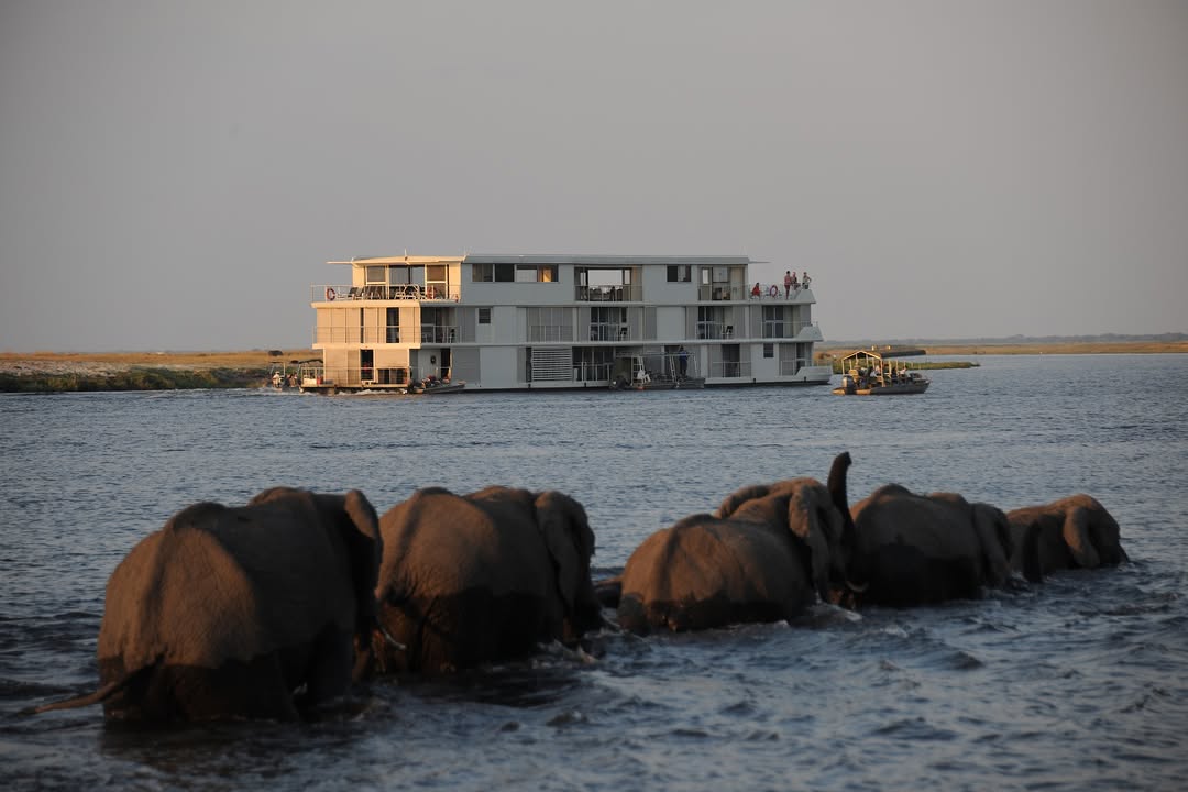 Croisière avec © Zambezi Queen