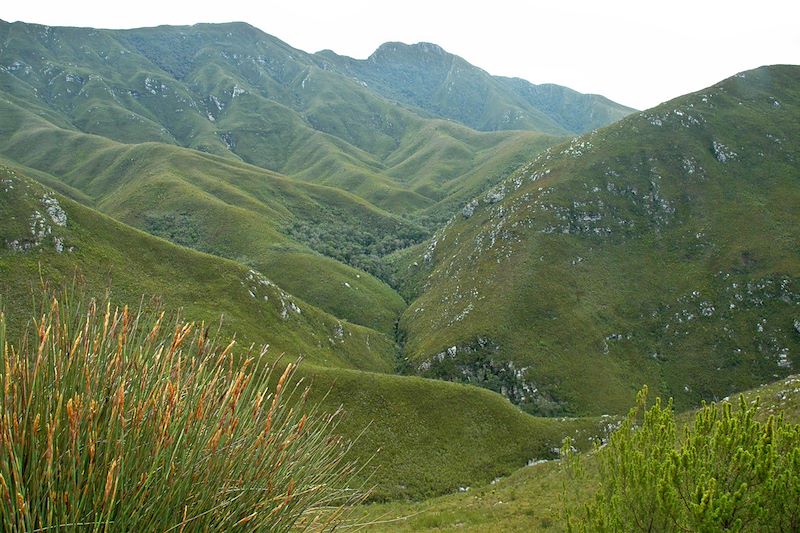 Un itinéraire en Afrique du Sud avec Nomade Aventure © Ibrahim Bah