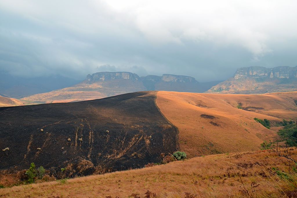 Drakensberg - Région du Mpumalanga - Afrique du Sud © Laetitia Ferreira
